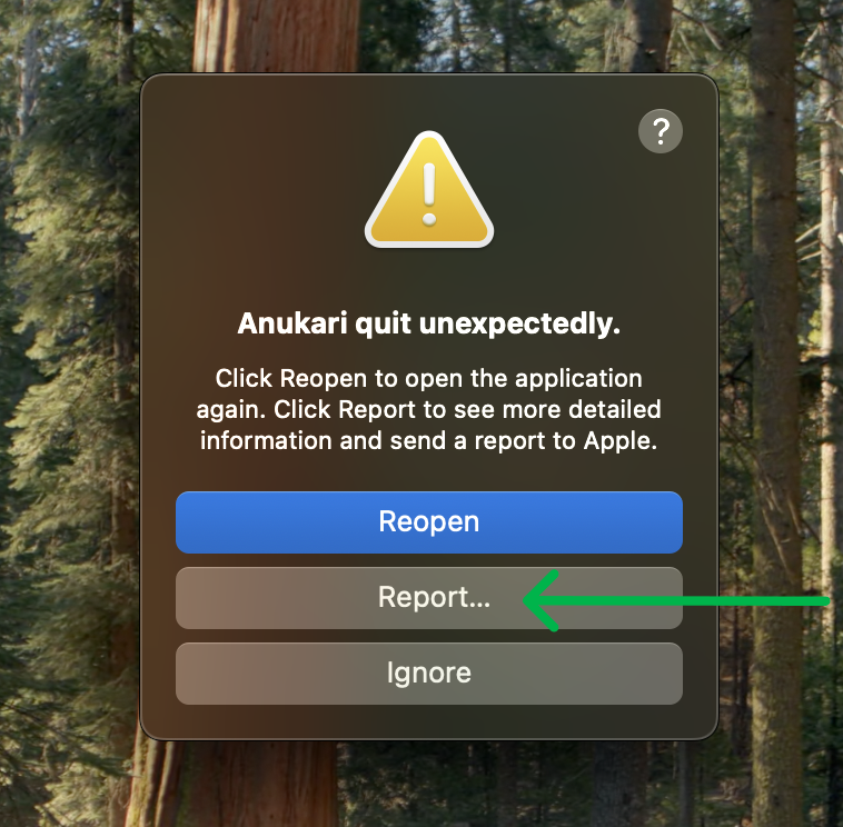 Screenshot of the first Apple crash report window