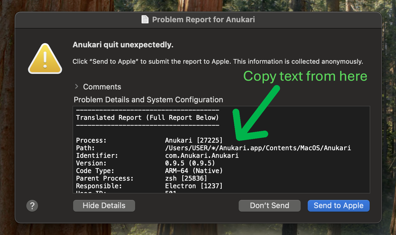 Screenshot of the second Apple crash report window